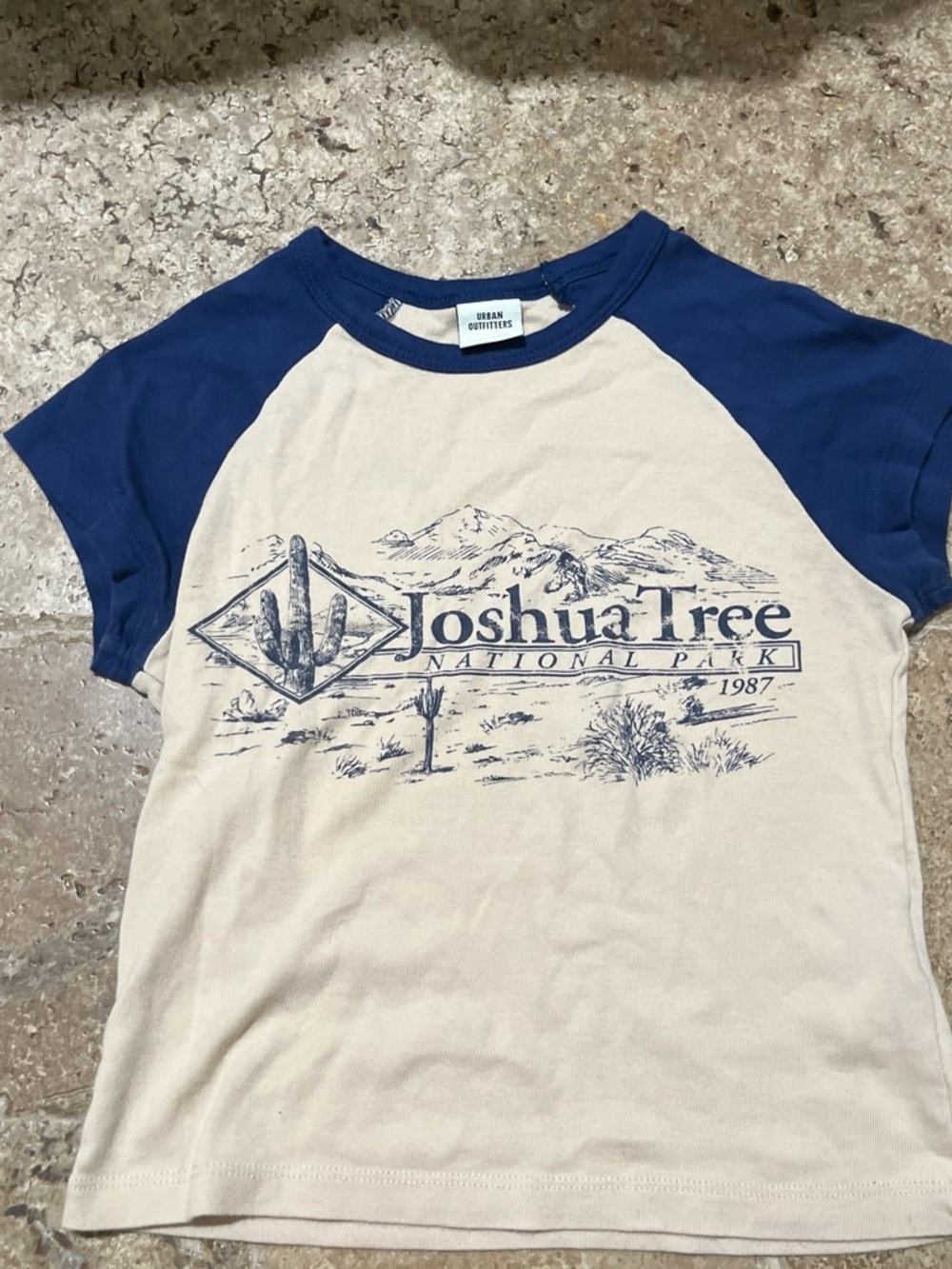 Urban Outfitters Joshua Tree Raglan Tee - Blue & Cream